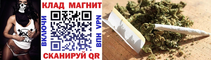 Альфа ПВП Геленджик