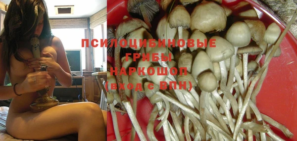 mdpv Алексин